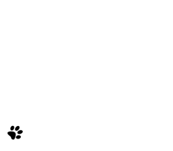 Loading